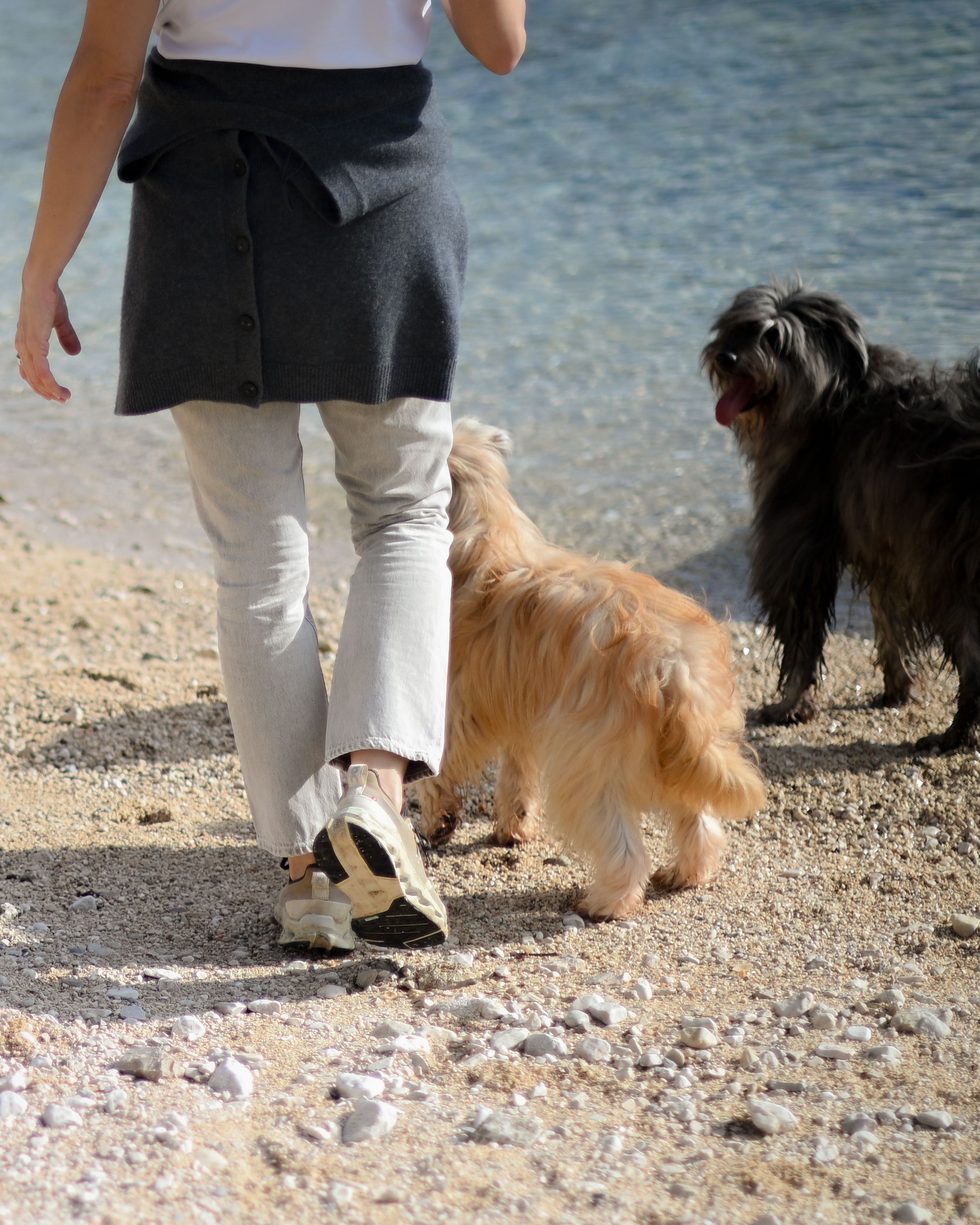 person with their dog during a natural portrait session