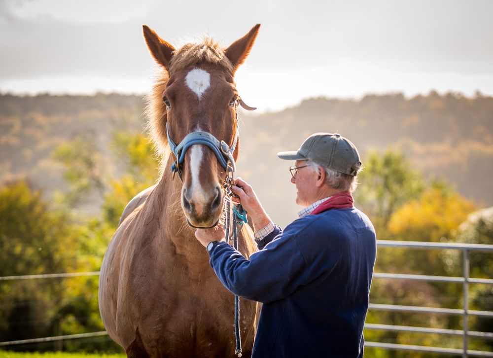 Person in blue jacket gently petting and bonding with a chestnut horse in an outdoor setting.