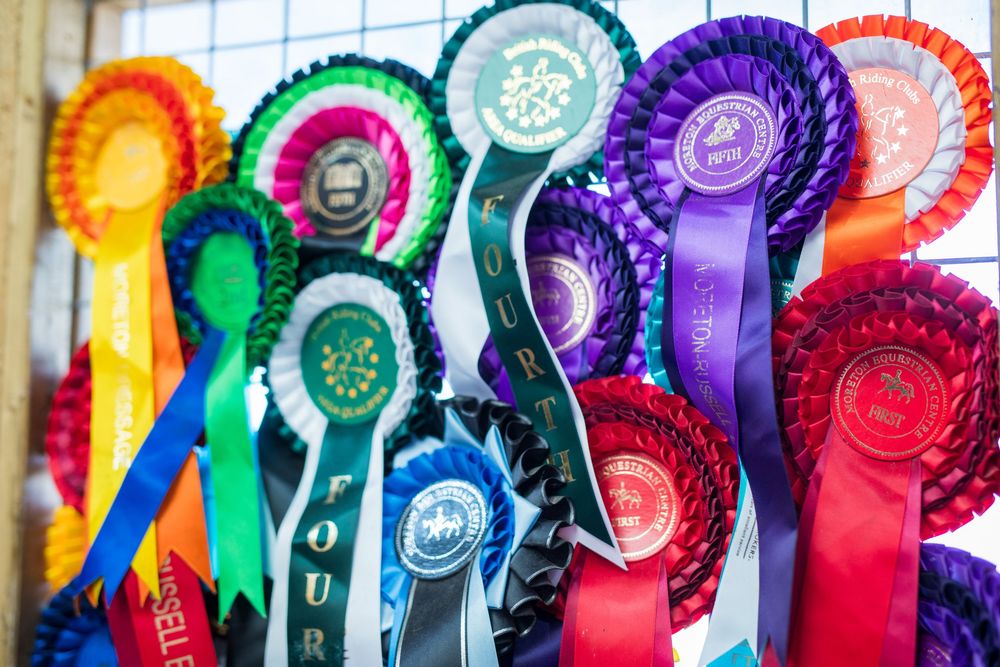 Colorful collection of equestrian competition ribbons and rosettes displayed in a row.