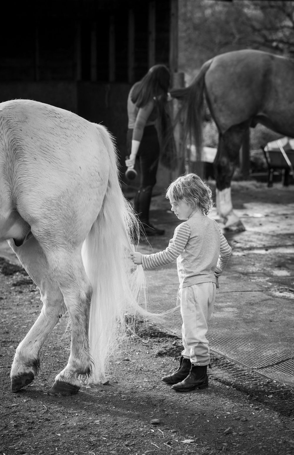 Young child in boots gently brushing a white pony's tail in a stable.