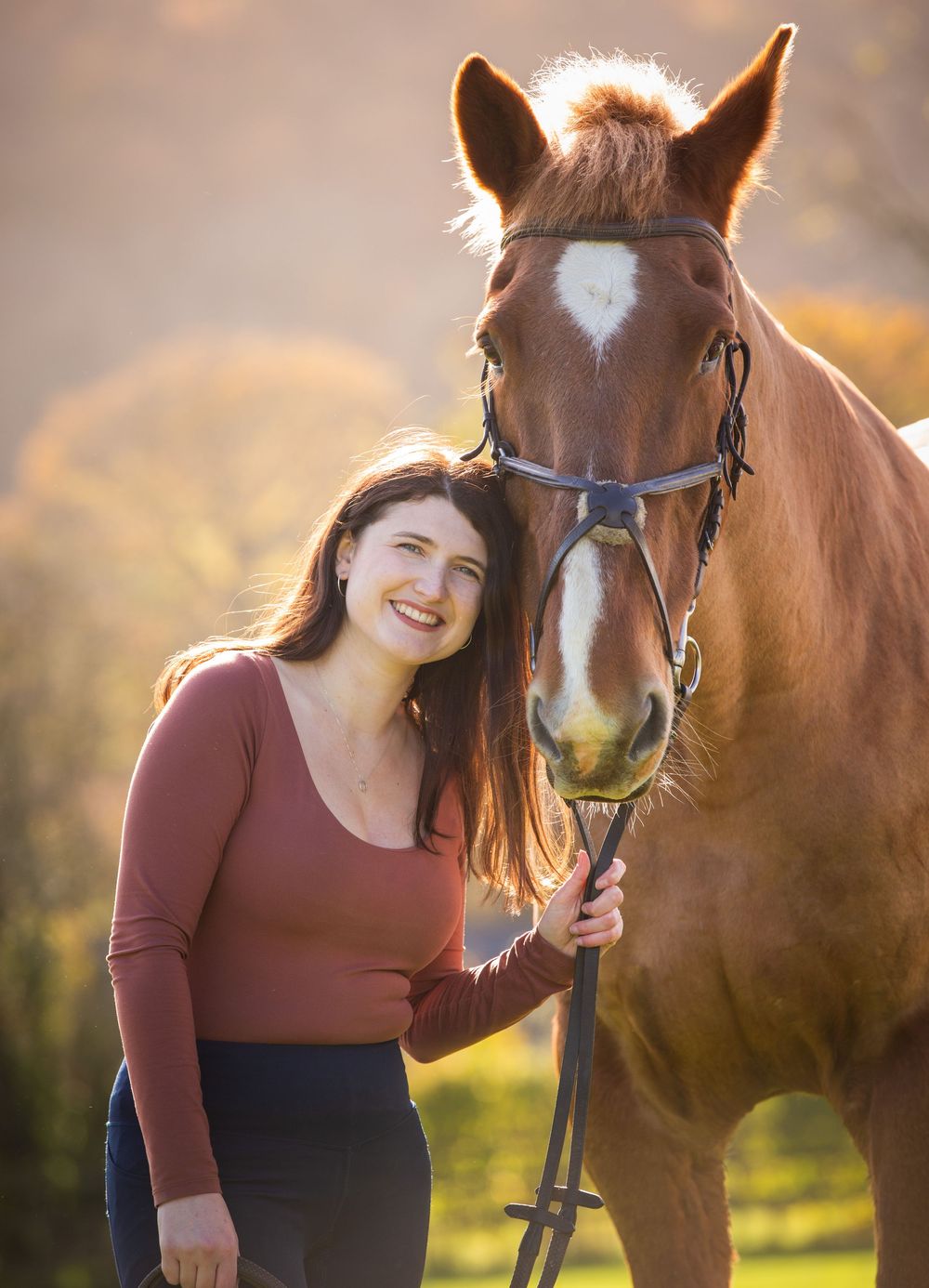 A brown horse with a white marking on its face stands in a sunlit field during golden hour.