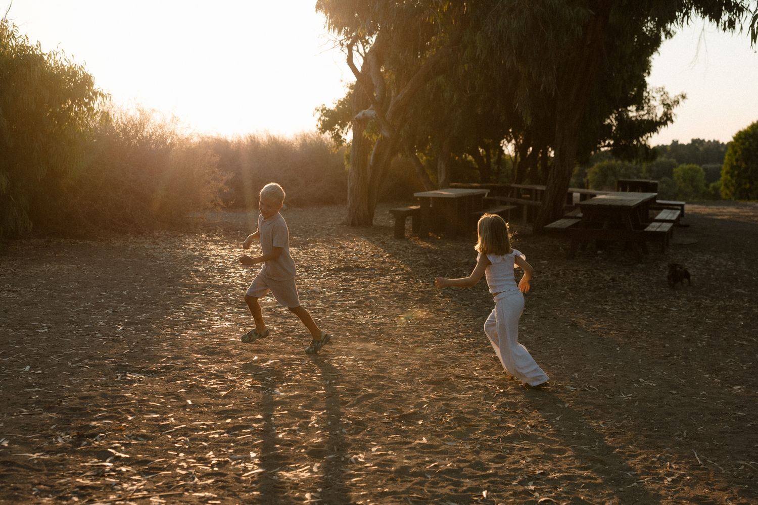 A family walking along a scenic coastal path during sunset family photoshoot with palm trees in the background.