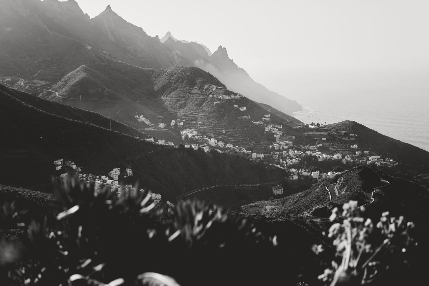 Nature & Cities