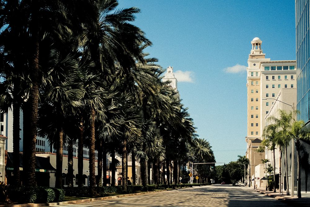 Palm tree-lined street with historic buildings and architecture in a tropical urban setting.