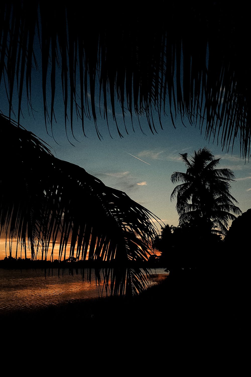 Tropical sunset silhouetted through palm fronds on beach.