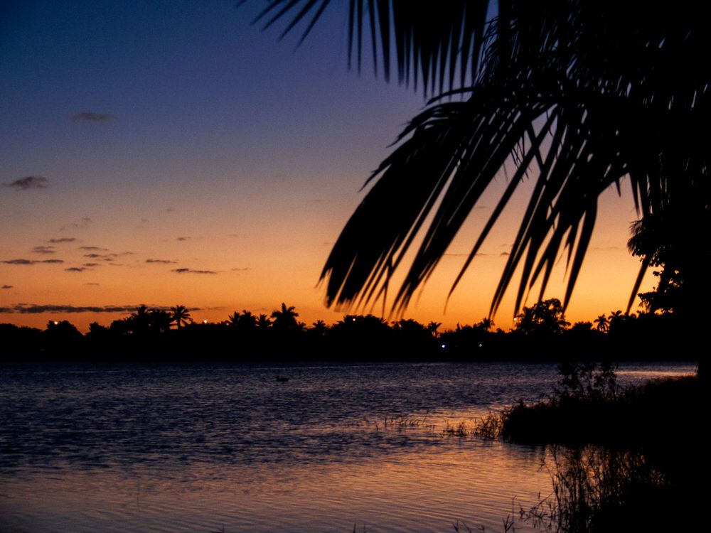 Dramatic sunset over water with silhouetted palm trees framing the orange and purple sky.