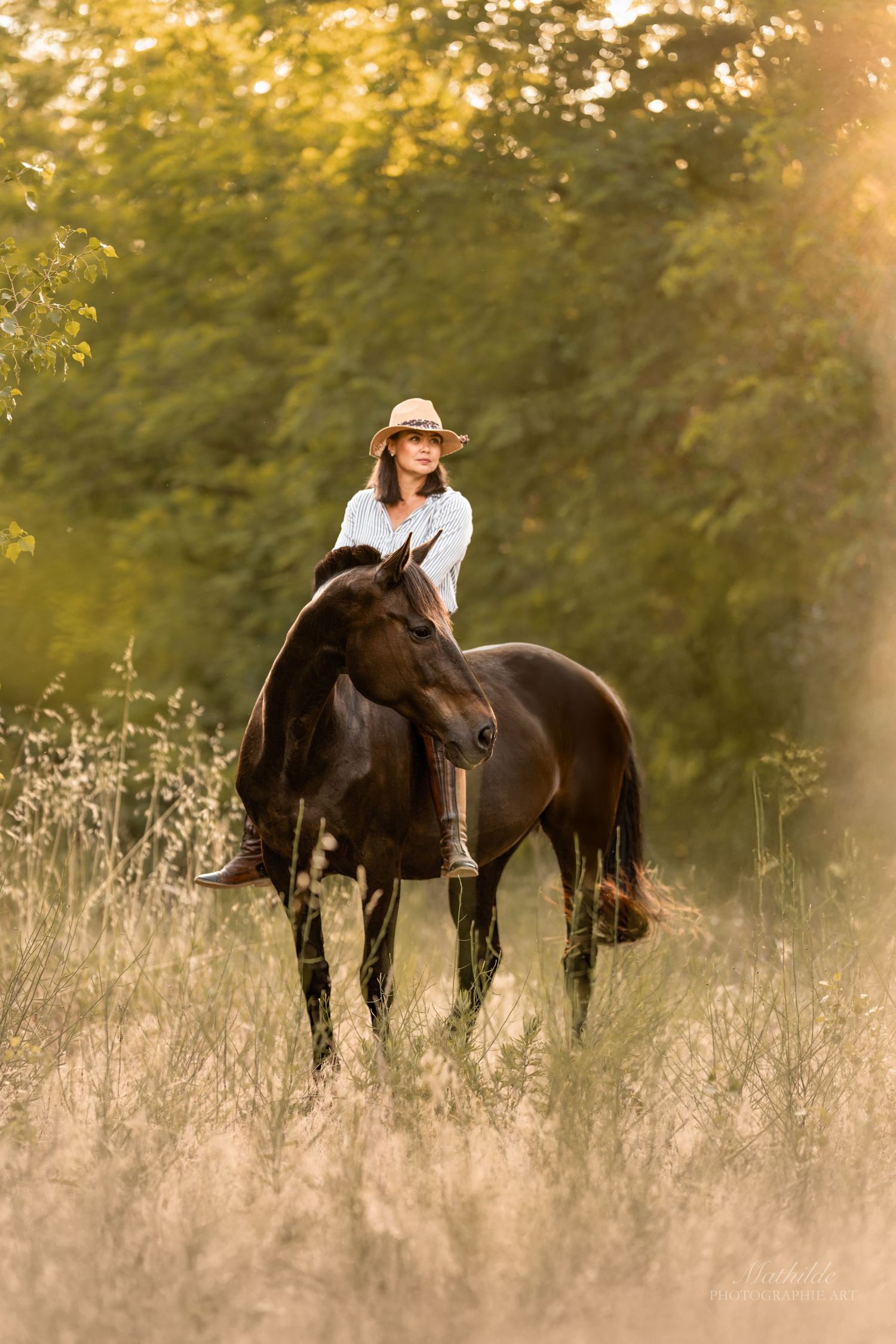 photographe cheval
séance photo chevaux
photographie animaux de compagnie
photo cheval extérieur
photographe Drôme Valence Isère