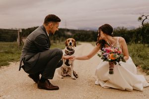 Wedding couple sitting on gravel path with dog in countryside setting.