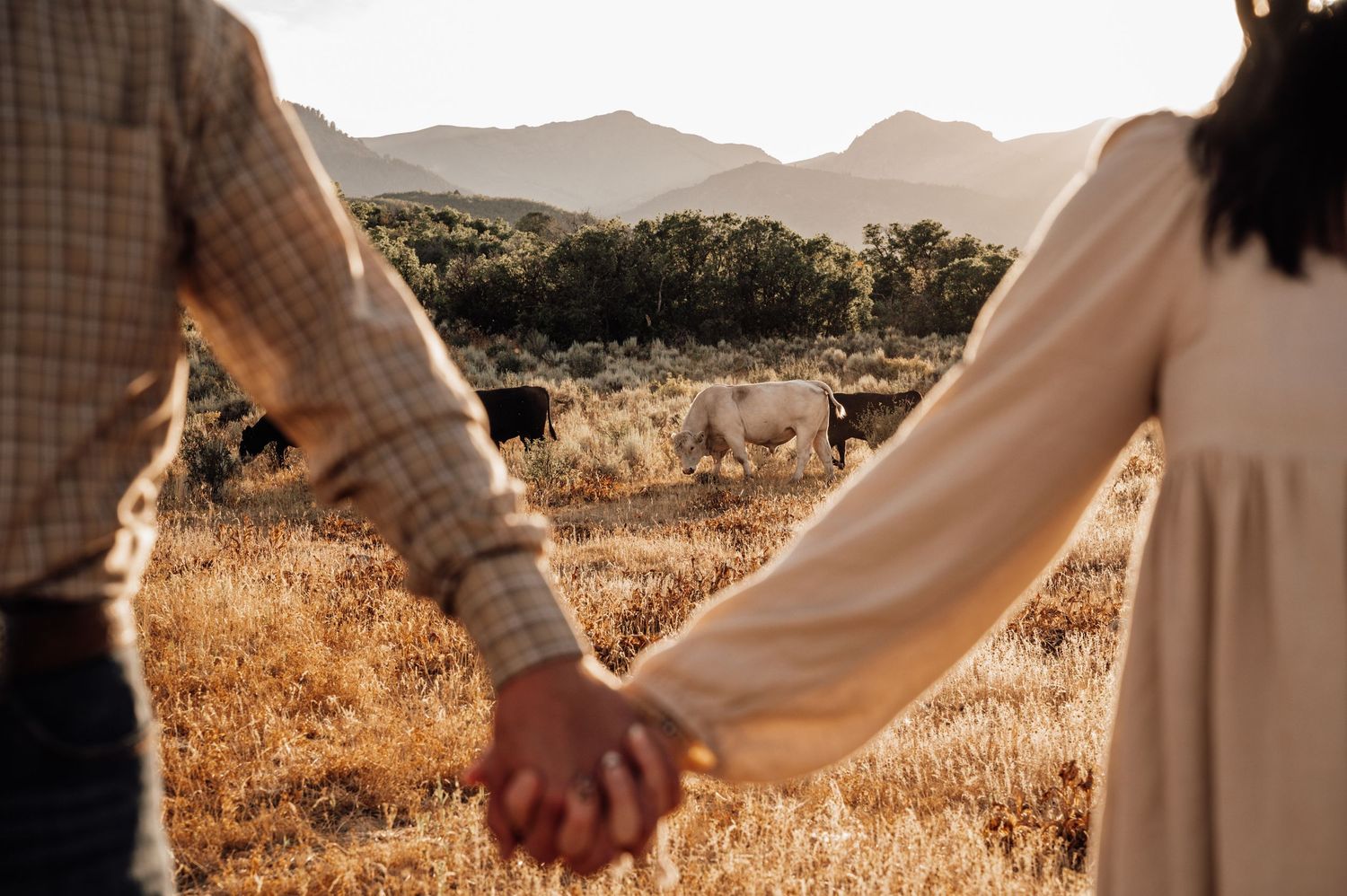 People holding hands in a line against mountain backdrop during golden hour.