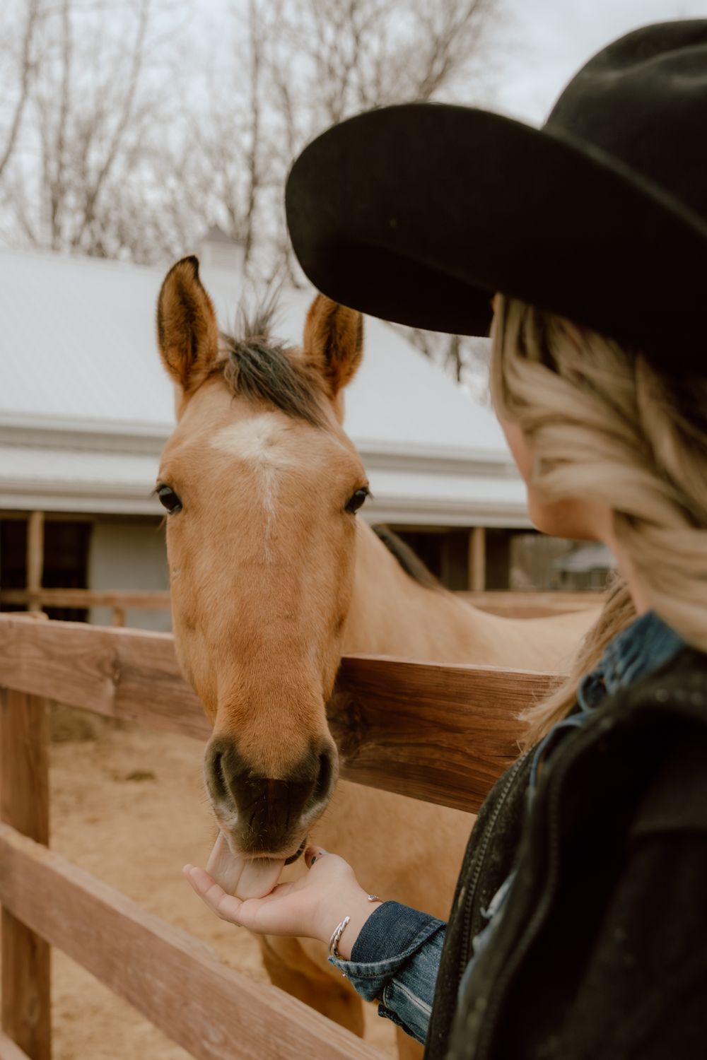 Blonde woman in black cowboy hat feeding a palomino horse over a wooden fence at a stable.