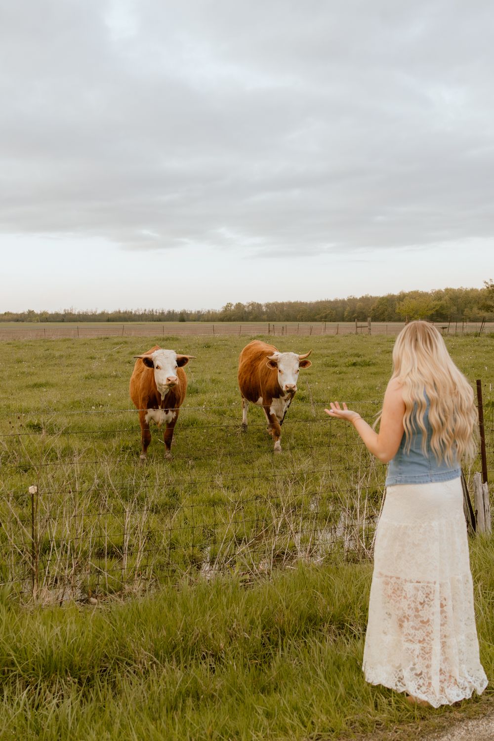 Blonde woman in denim top and lace skirt gesturing toward two brown cows in a pasture.