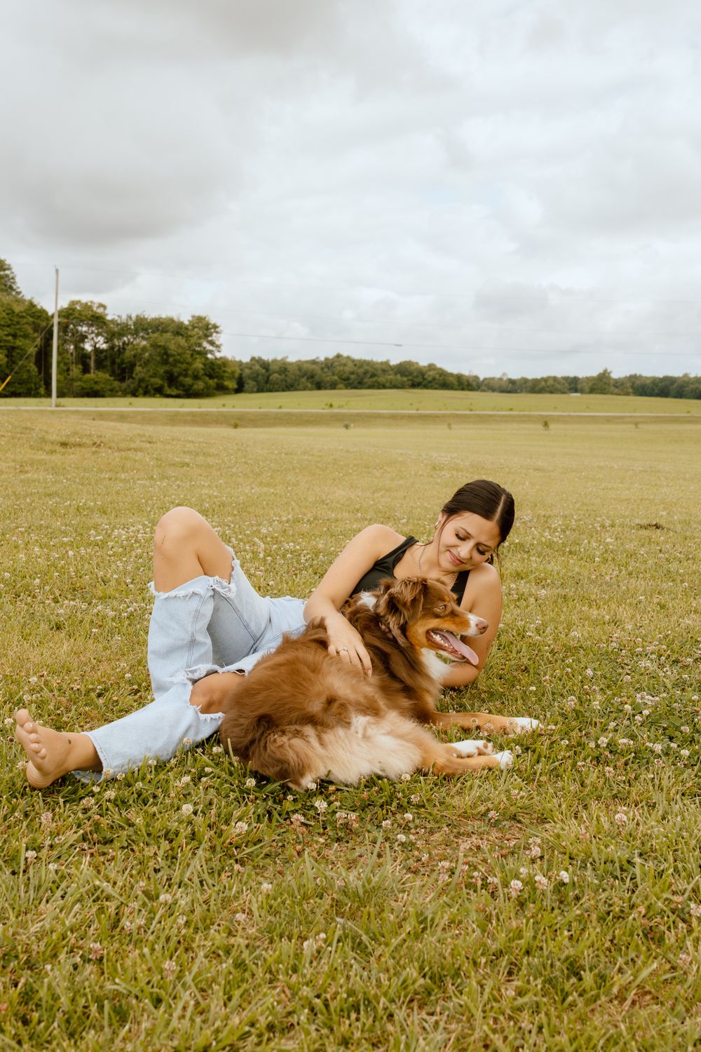 Woman in ripped jeans sitting in green field petting her brown and white Australian Shepherd dog outdoors.
