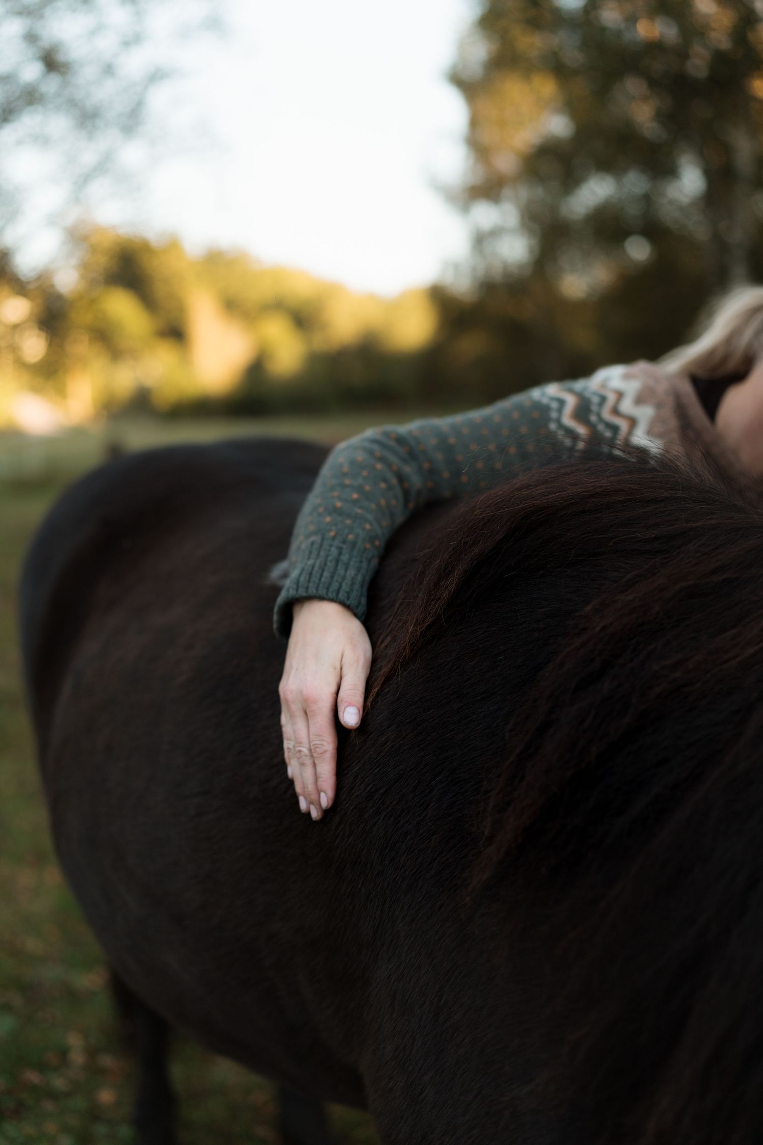 A gentle hand rests on the dark coat of a horse against an autumn landscape.