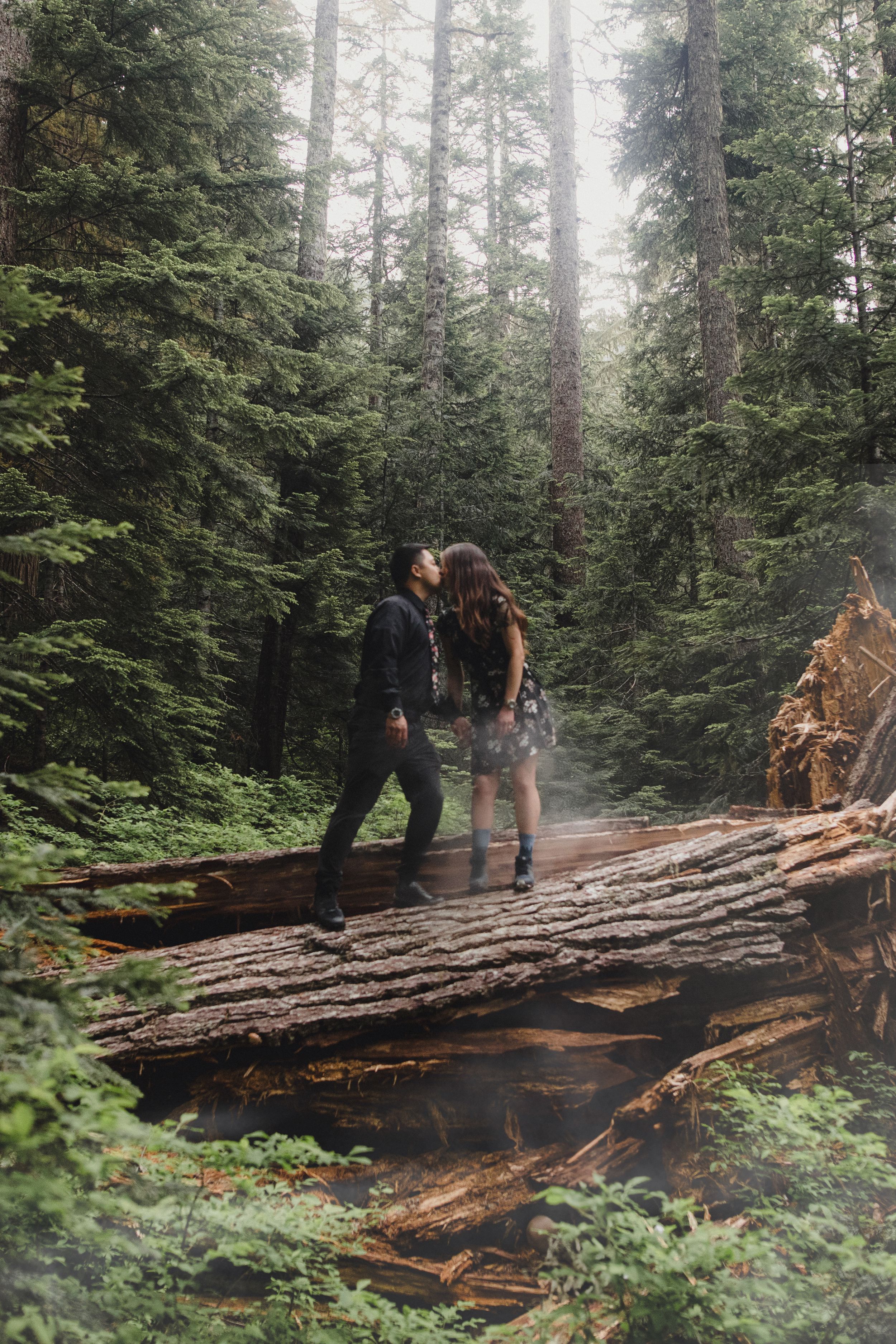 Two hikers traverse a fallen log bridge in a misty evergreen forest surrounded by tall trees and ferns.
