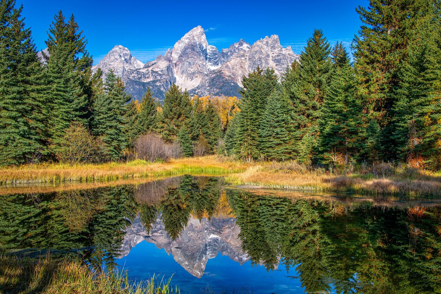 Snow-capped Grand Teton mountains reflect in calm lake waters surrounded by evergreen forest on a clear autumn day.