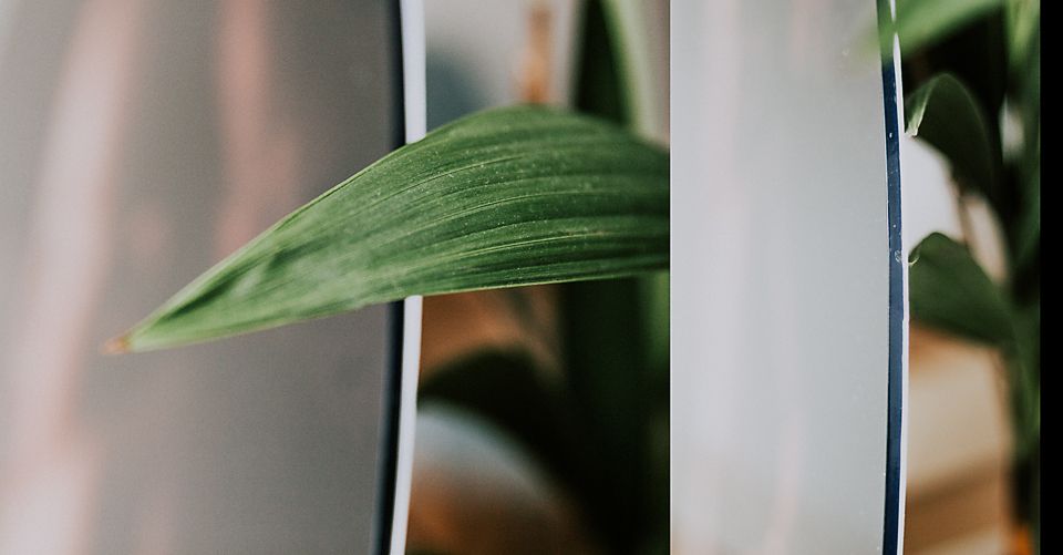 Green leaf peeking through white vertical blinds in soft focus.
