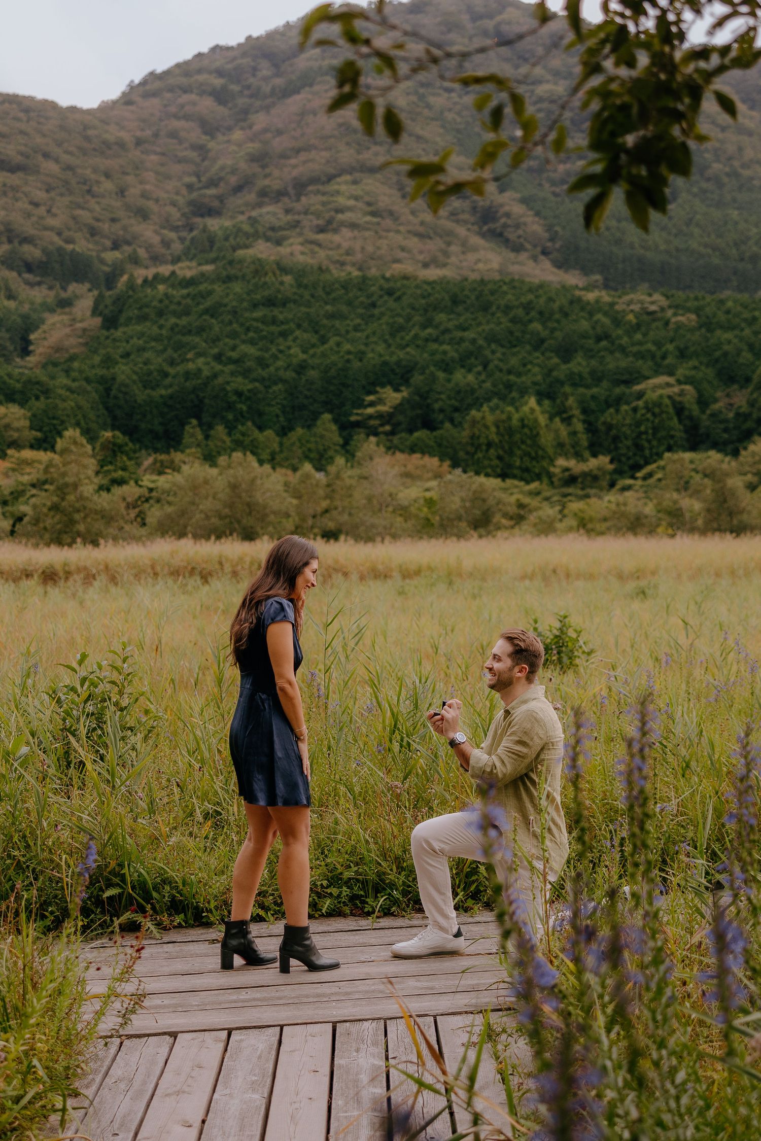 A romantic proposal scene unfolds on a wooden boardwalk surrounded by tall grass and mountains in the background at Hakone Botanical Gardens