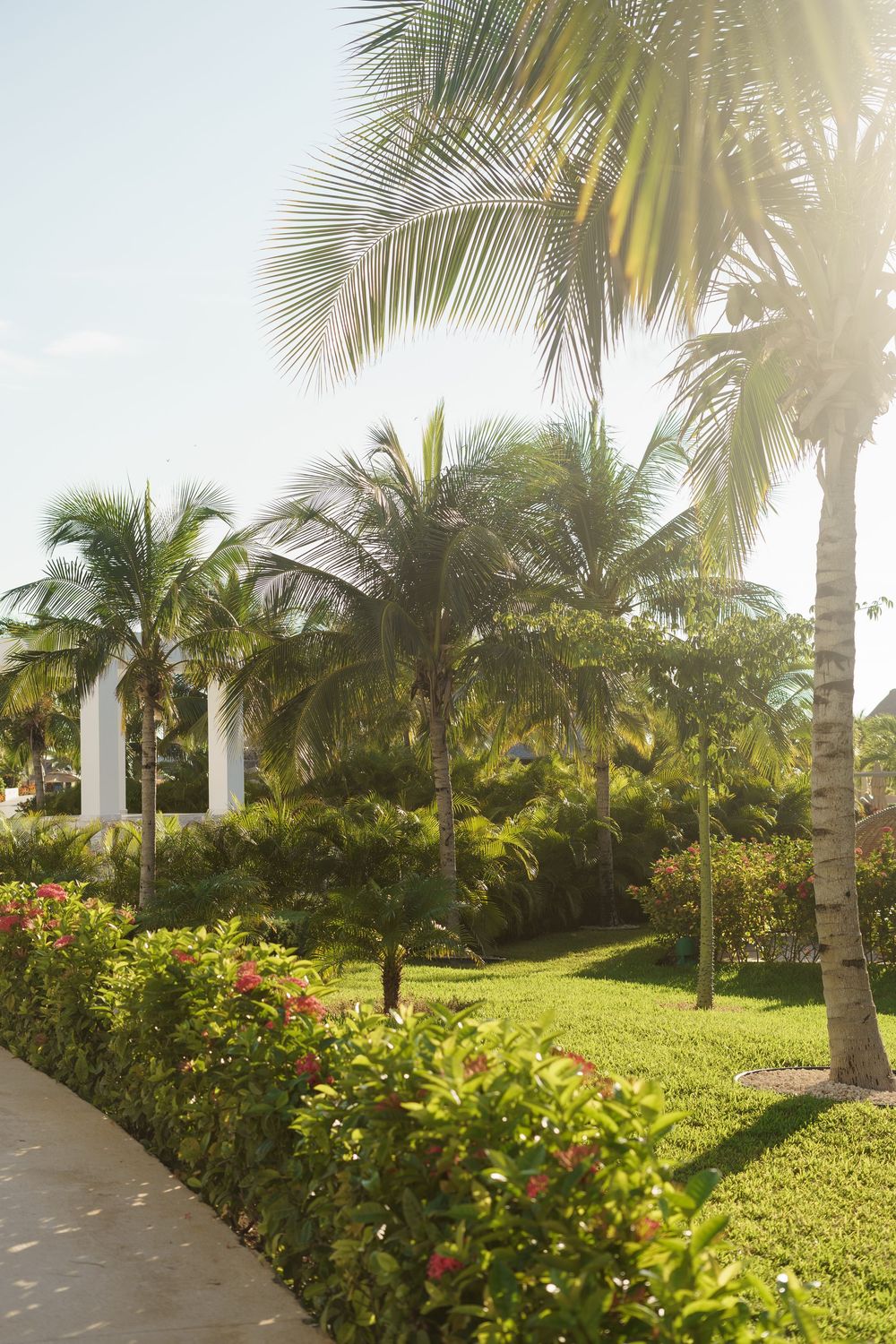 Tropical garden path lined with palm trees, white columns and colorful flowering bushes in bright sunlight.