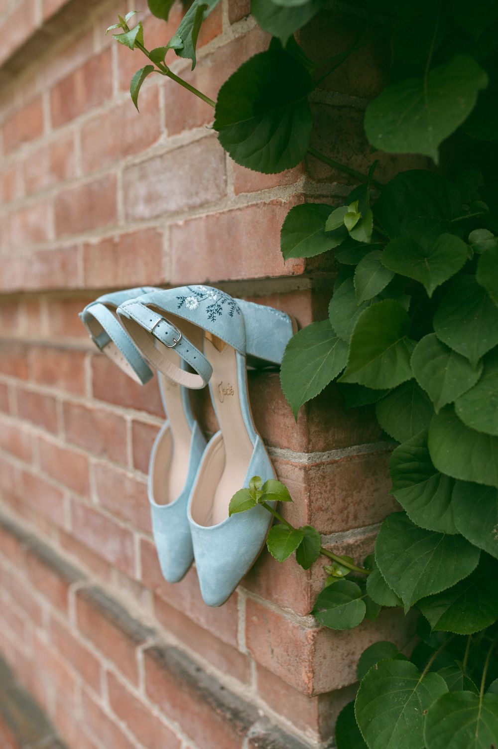 Pale blue wedding shoes hanging on a brick wall with ivy leaves.