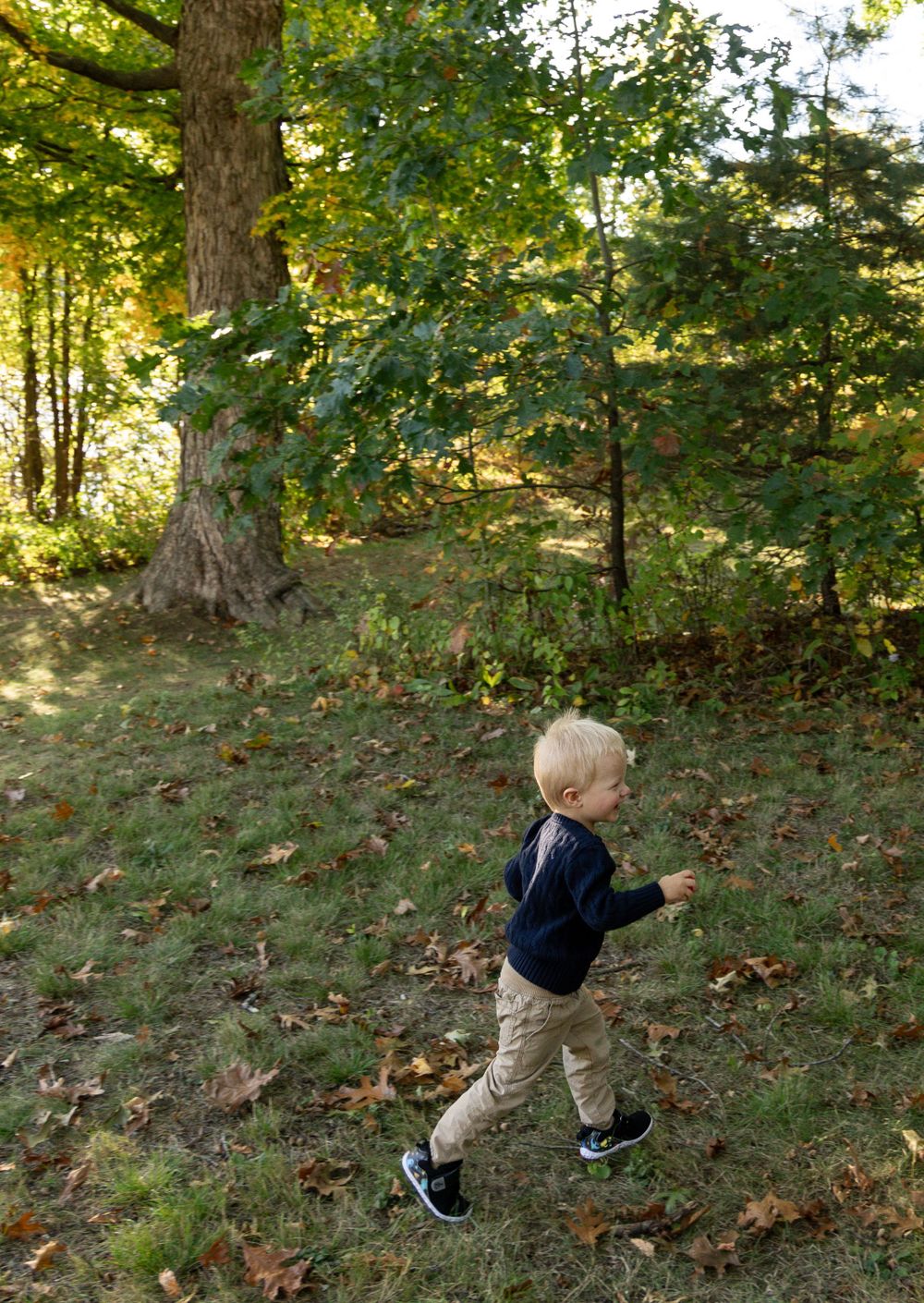 Blonde toddler boy running through leaf-covered ground near large tree.
