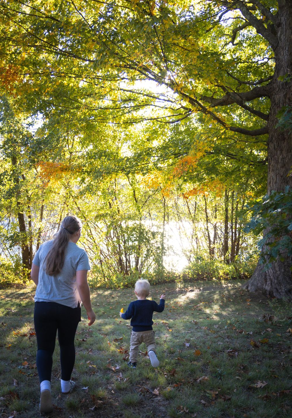Woman and toddler walking toward sunlit trees in autumn forest.