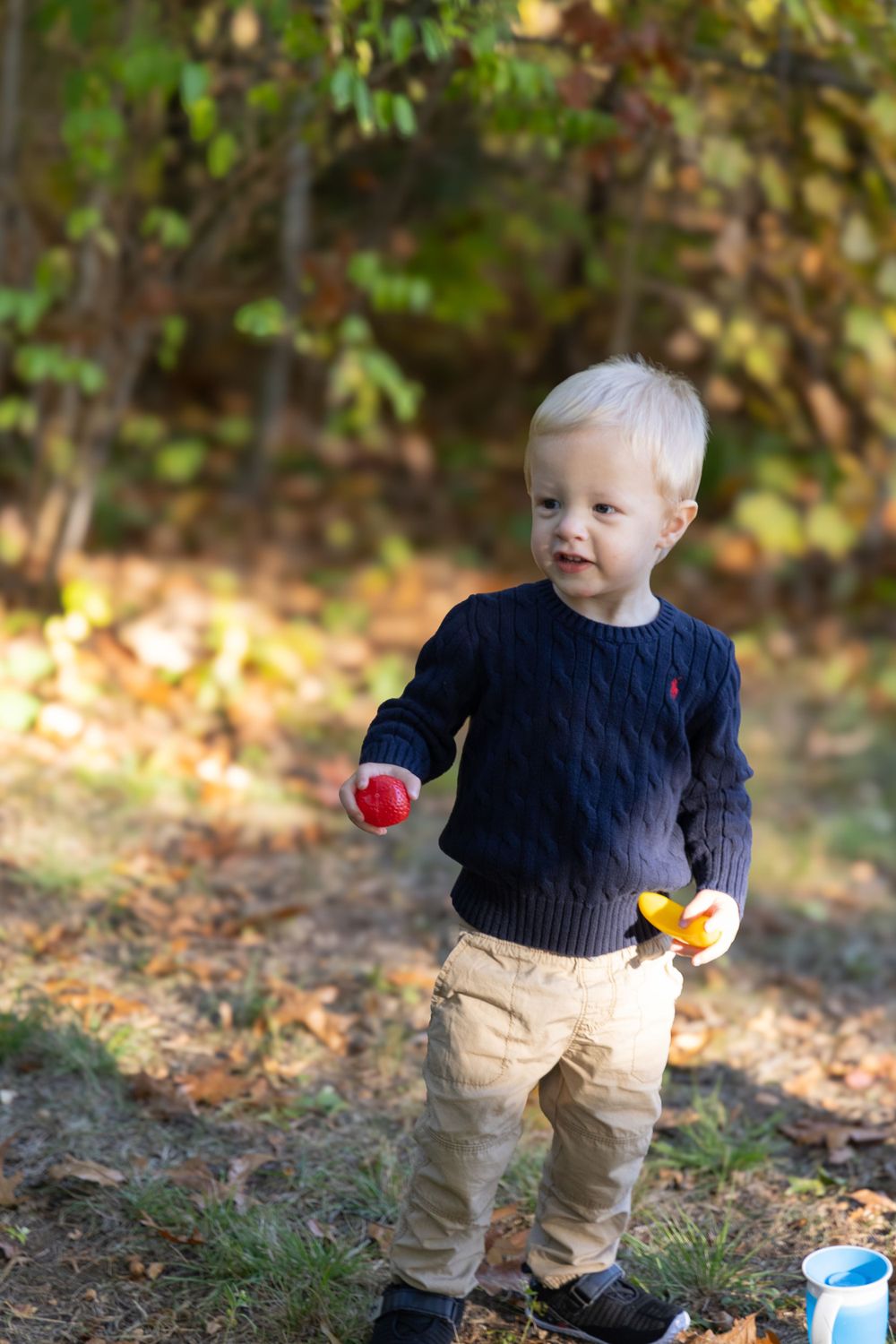 Blonde toddler boy holding red apple and toy outdoors in autumn park.