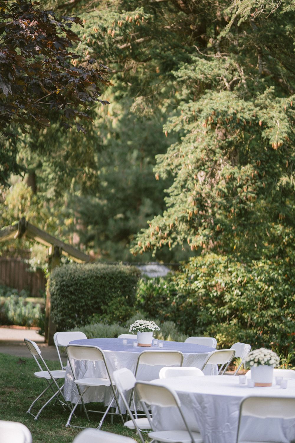 White folding chairs and tables set up for an outdoor event under overhanging trees.
