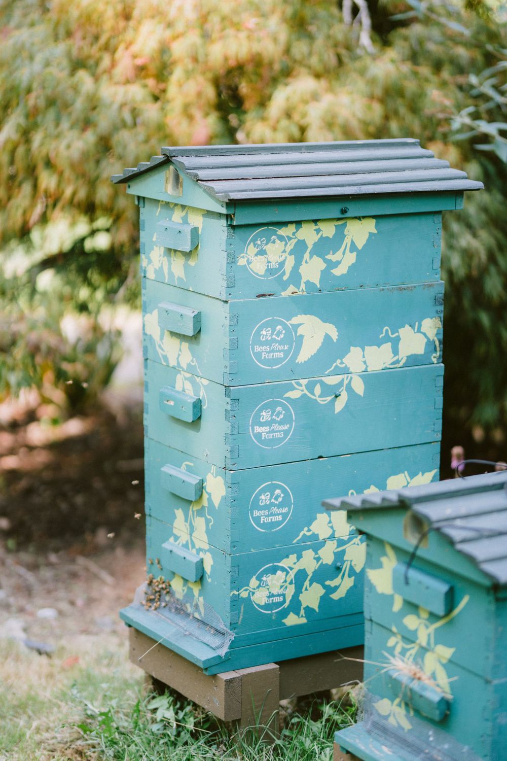 Turquoise painted beehive boxes decorated with floral patterns stand in a garden setting.