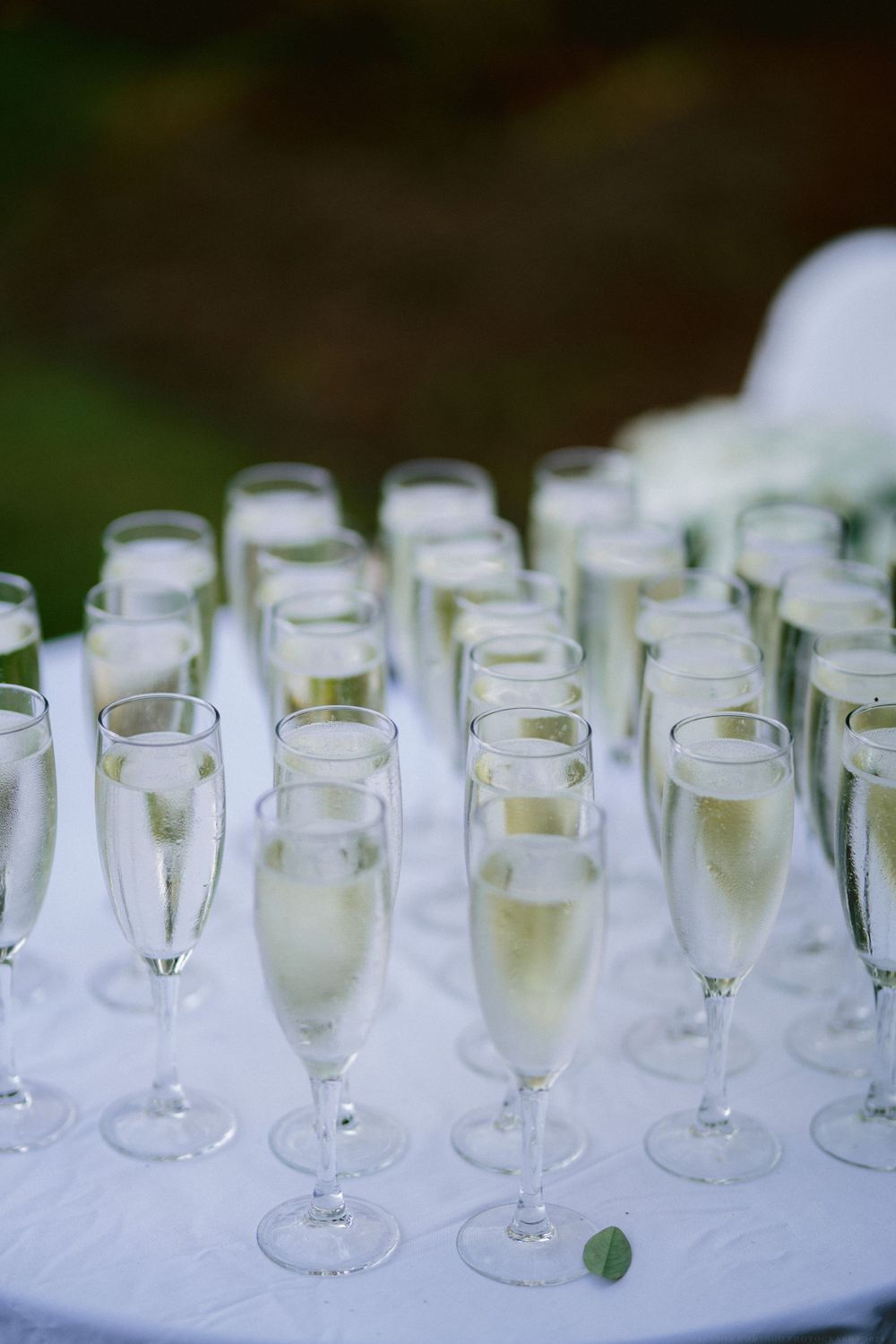 Multiple champagne flutes filled with bubbly on a white tablecloth.