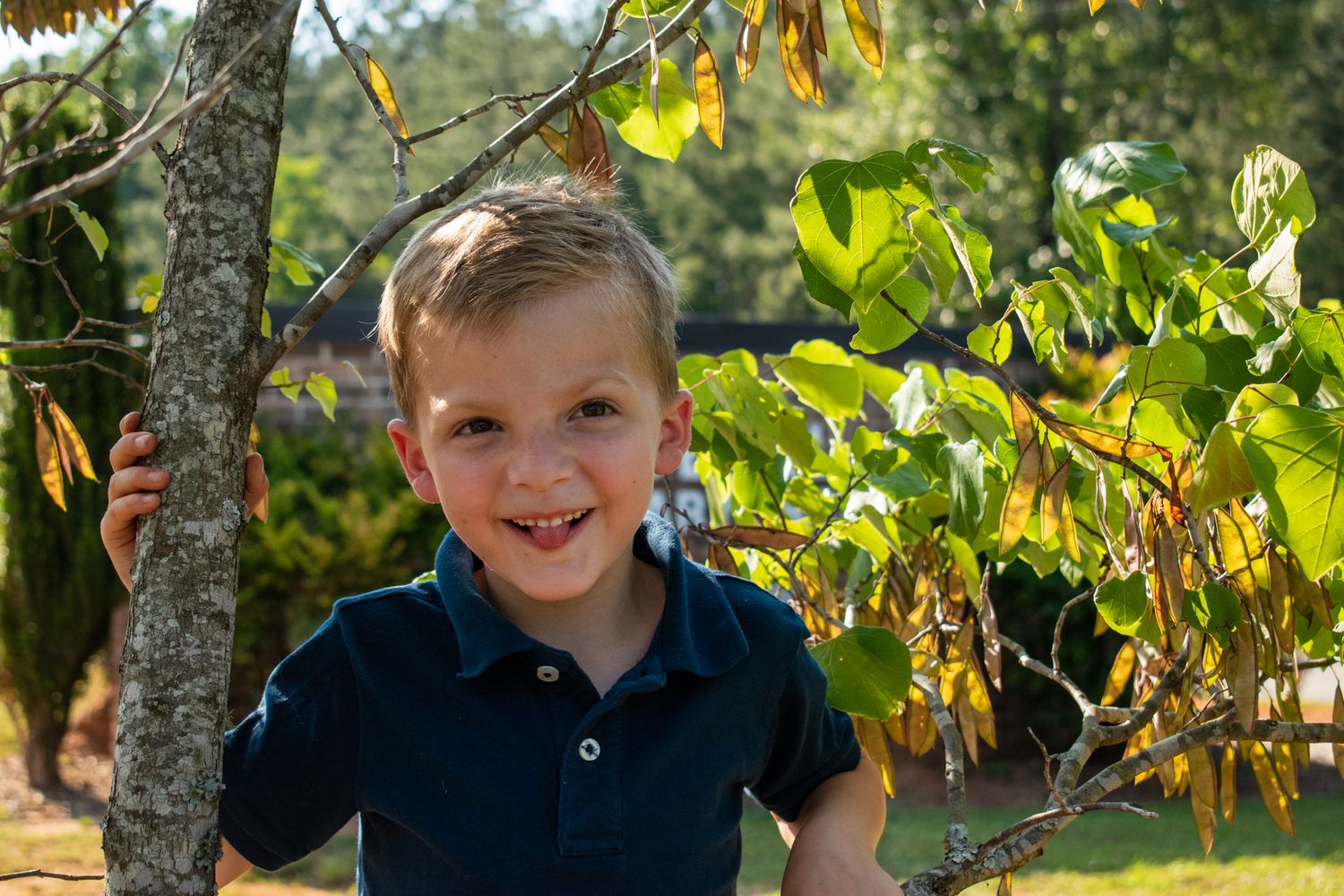 Young child in navy polo shirt smiling under autumn tree leaves.