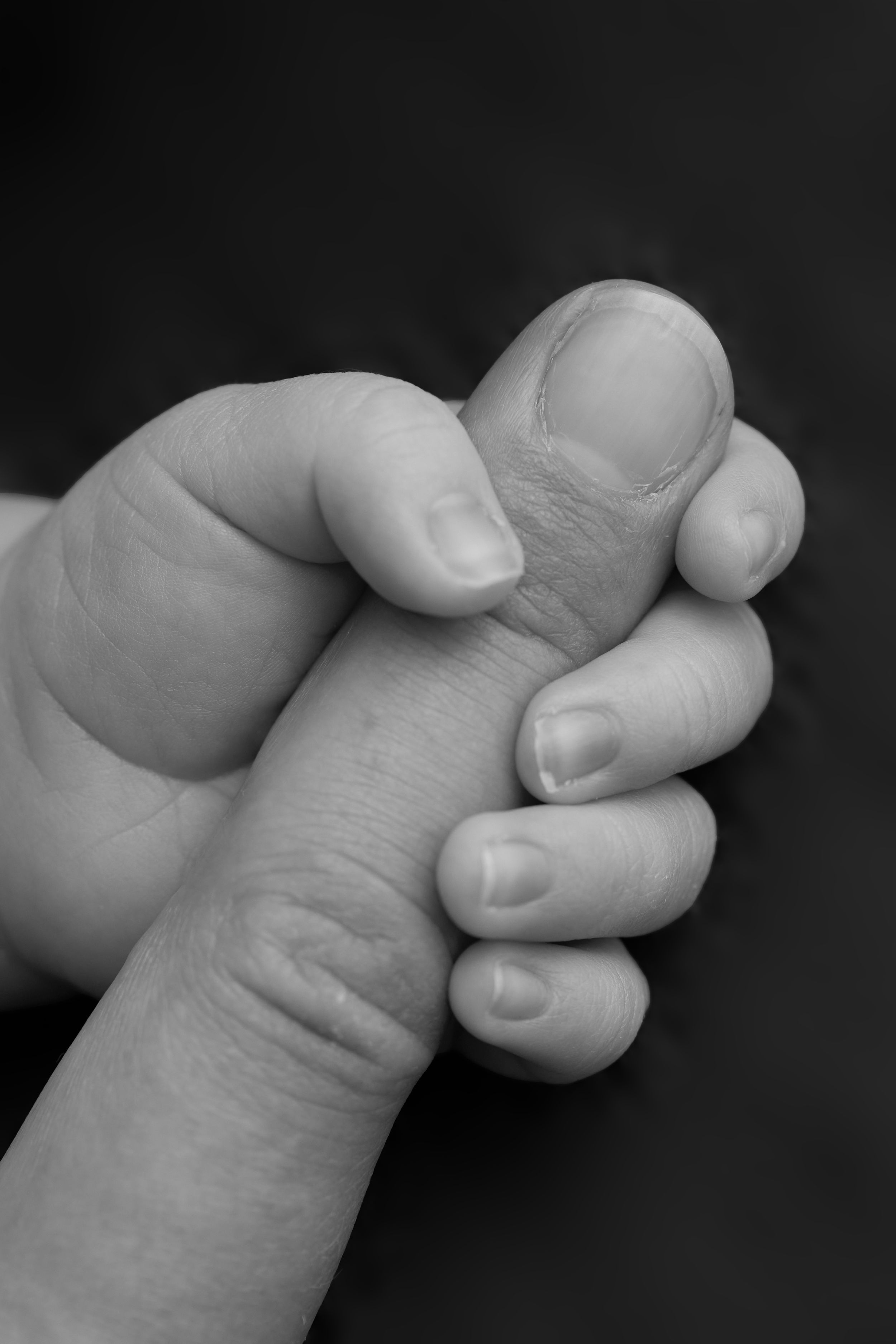 Black and white close-up images showing different finger positions demonstrating American Sign Language gestures.