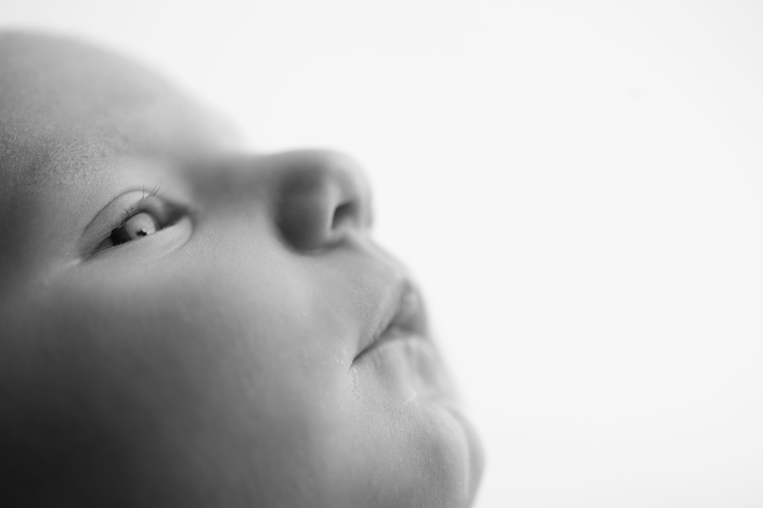Close-up black and white portrait showing gentle expressions and soft lighting.