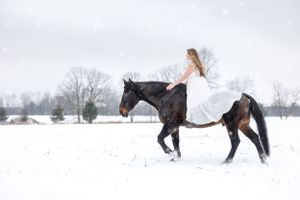 Large bay horse being ridden bareback and bridleless by a girl with brown hair in a white dress through the snow