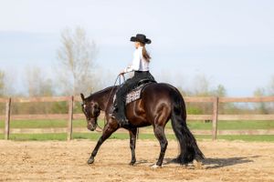 Girl riding bay horse western at a lope