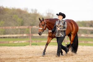 Girl doing showmanship with bay horse
