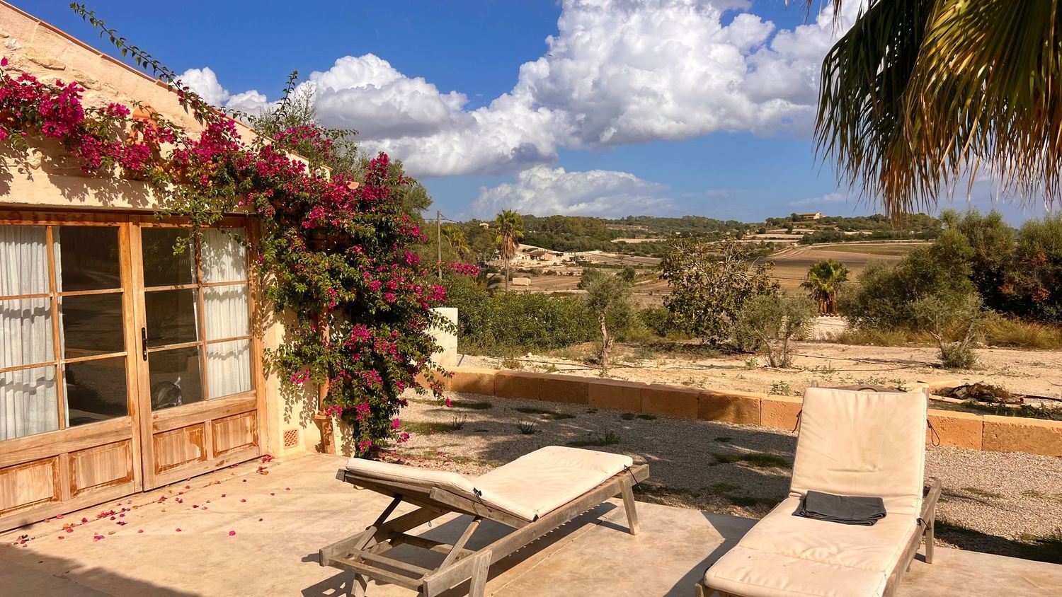 Panoramic view of a Mediterranean villa with terracotta roof, palm trees and pink bougainvillea flowers under blue skies.