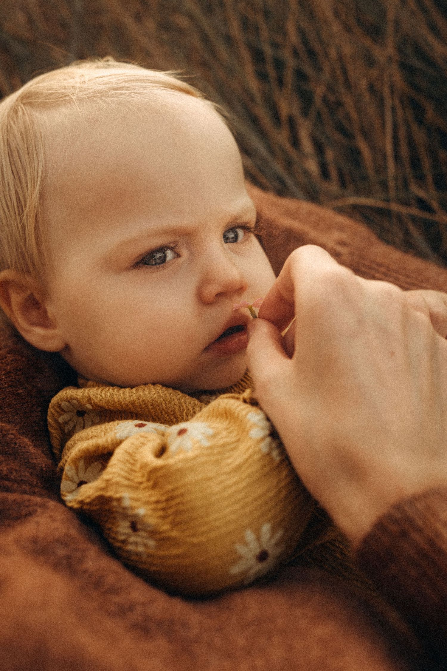 A tender moment captured in a series of close-up photos showing gentle interaction on a brown textured background. Javea photographer