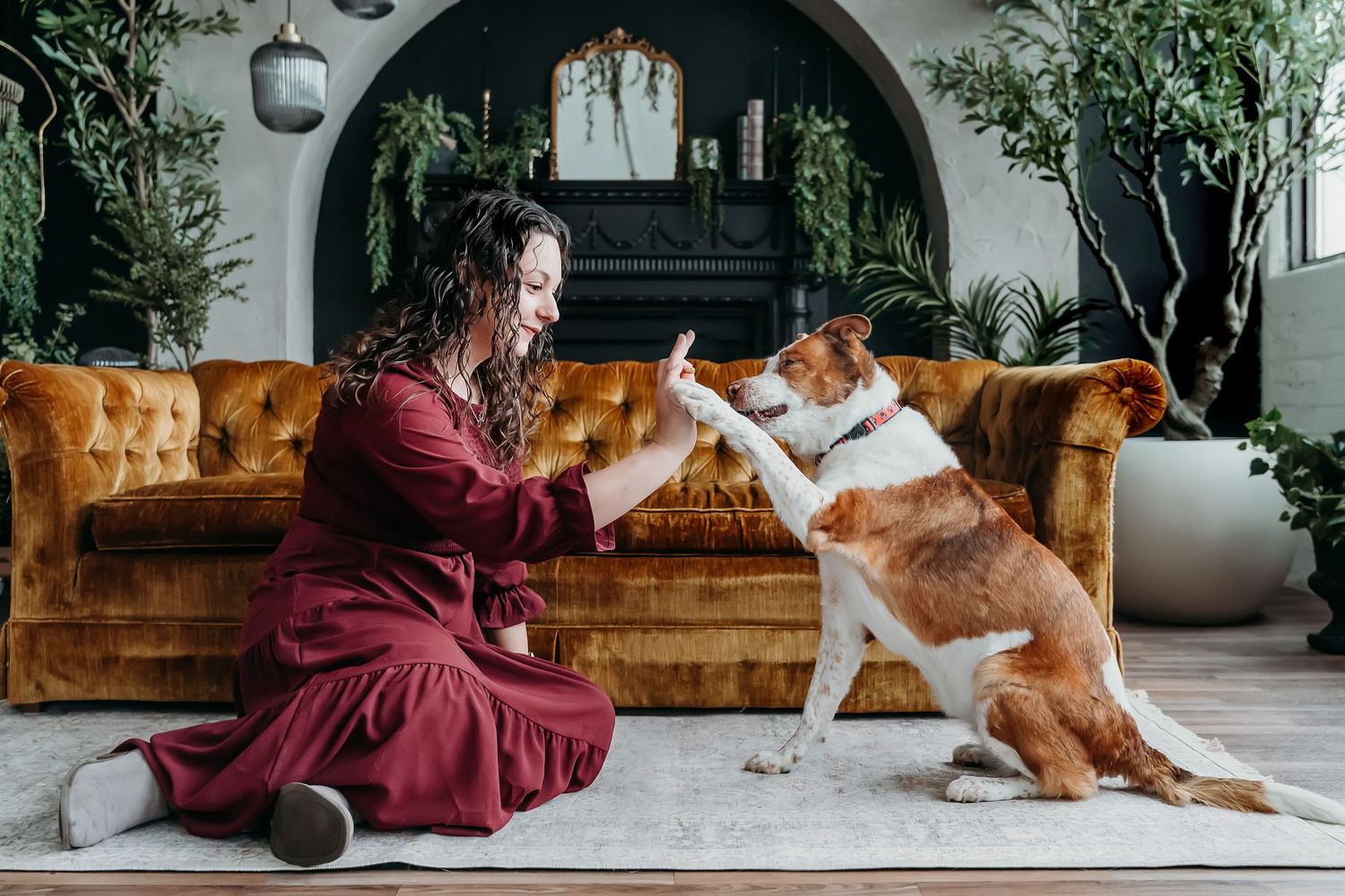 Dog and owner playing together on brown leather couch in bright indoor setting.