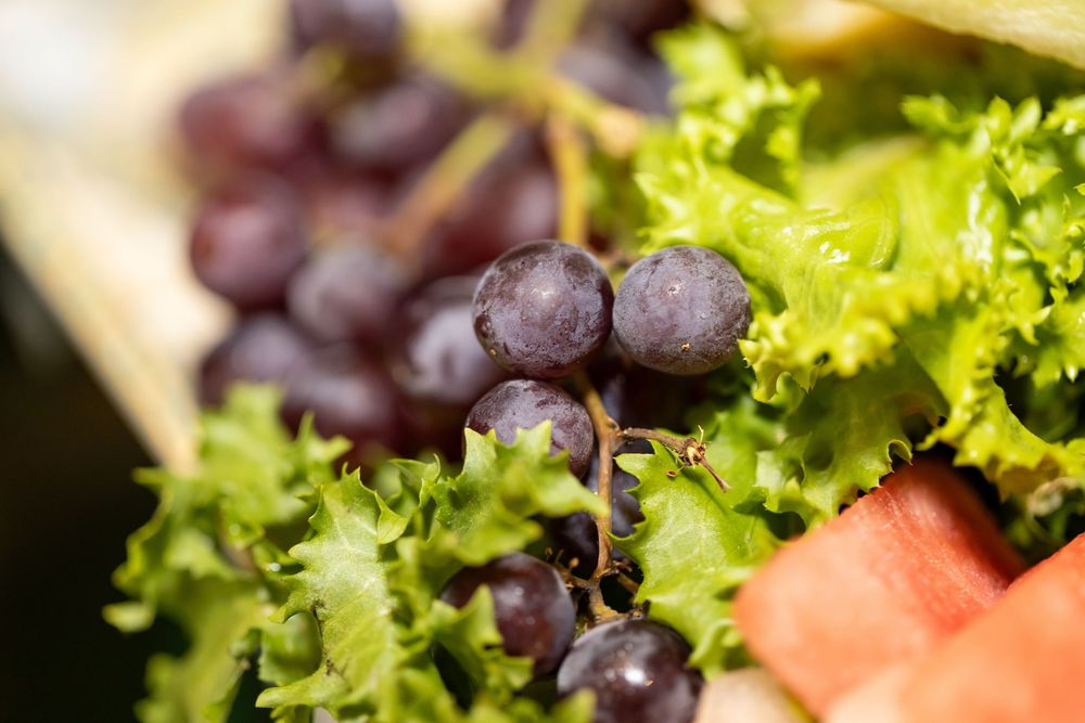 Fresh purple grapes nestled among crisp green lettuce leaves in a close-up macro shot.