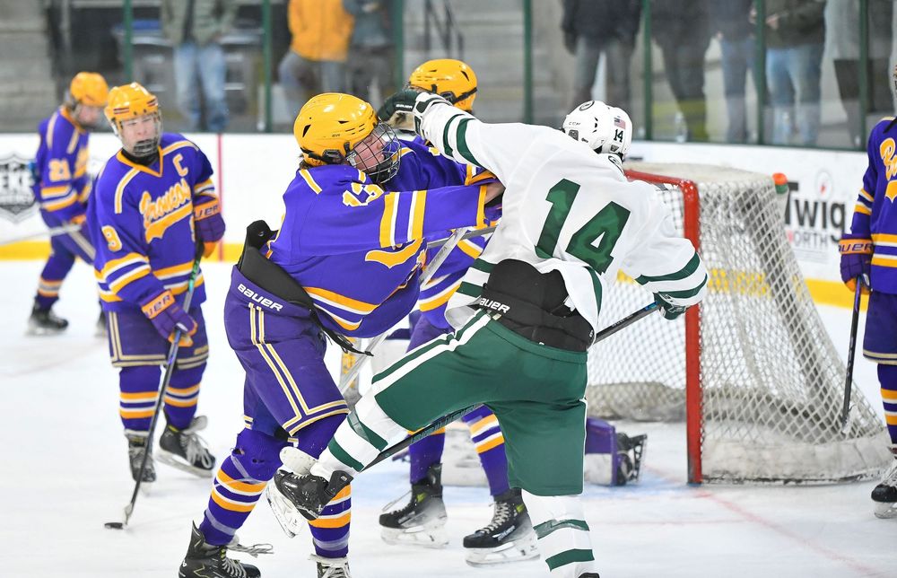 Hockey Fight, Duluth Minnesota