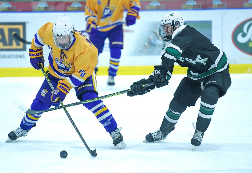 Duluth, Minnesota hockey photographer