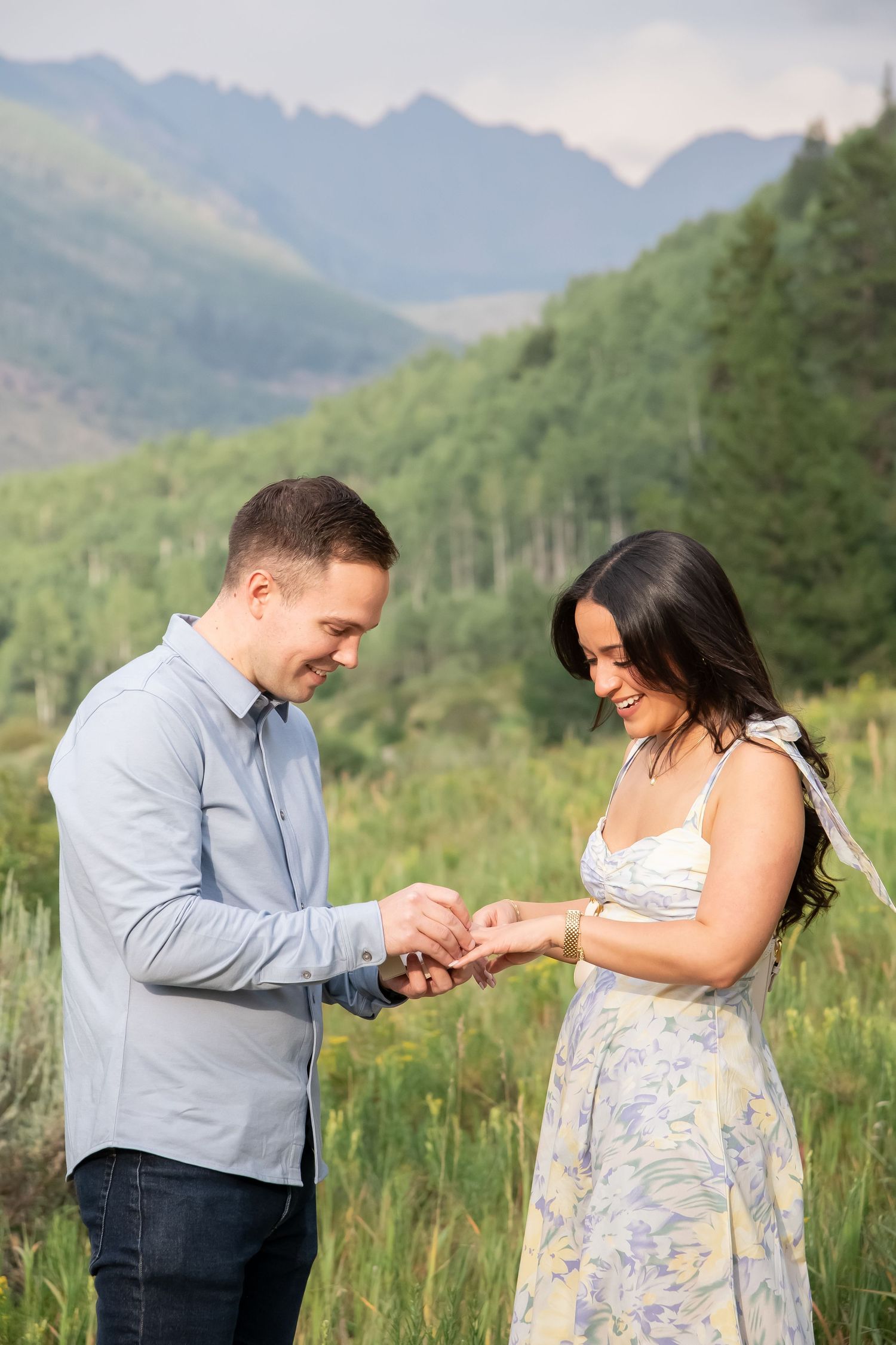 Vail proposal