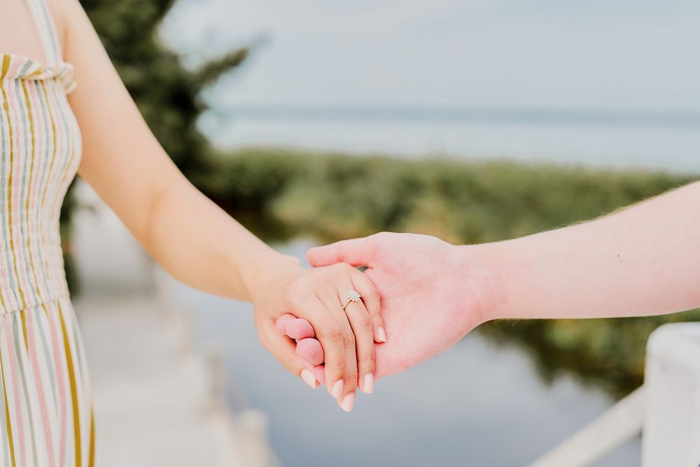 Hands holding pink and white rose petals in sunlight against a blurred outdoor background.