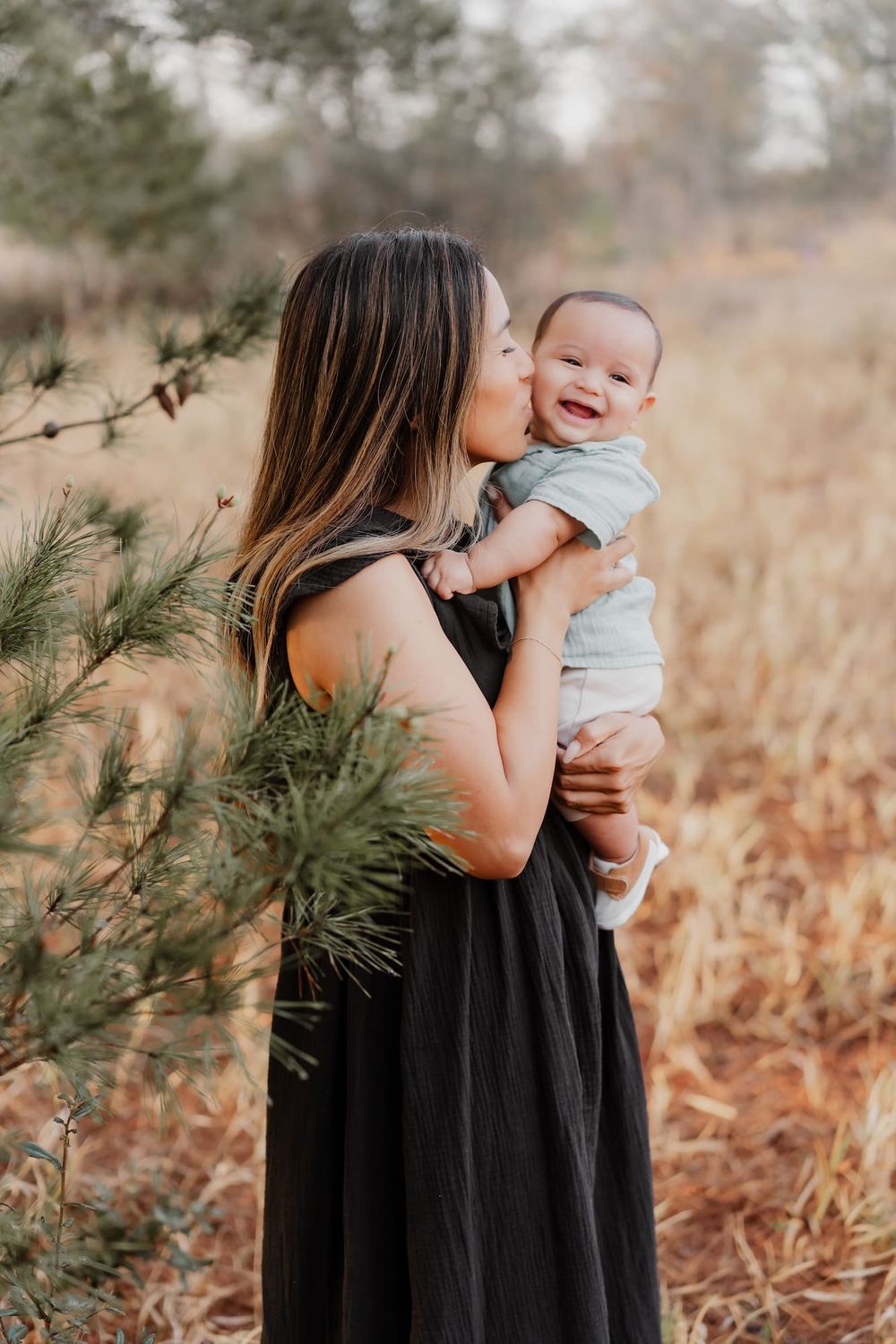 A series of tender moments captured in a field with tall grass and pine trees in warm autumn light.