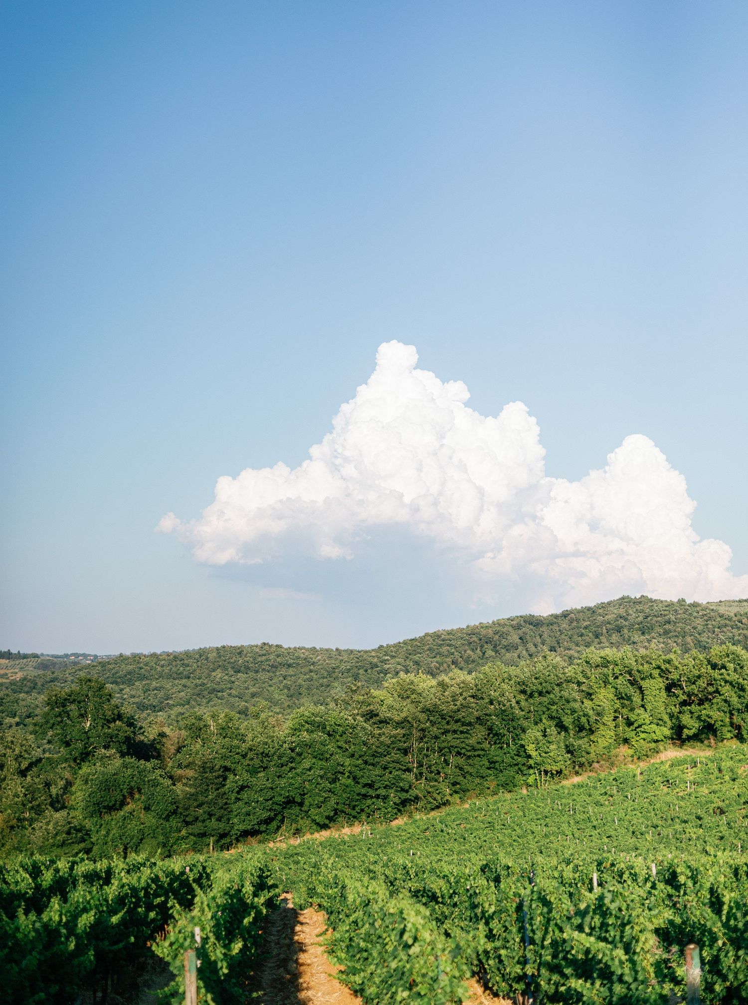 Panoramic view of green rolling hills covered in lush forest vegetation under a bright blue sky with scattered clouds.