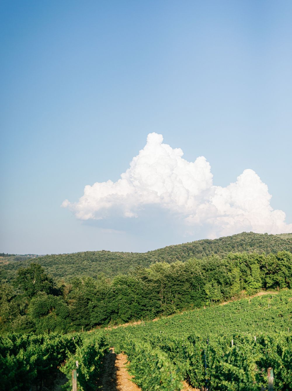 Panoramic view of green rolling hills covered in lush forest vegetation under a bright blue sky with scattered clouds.
