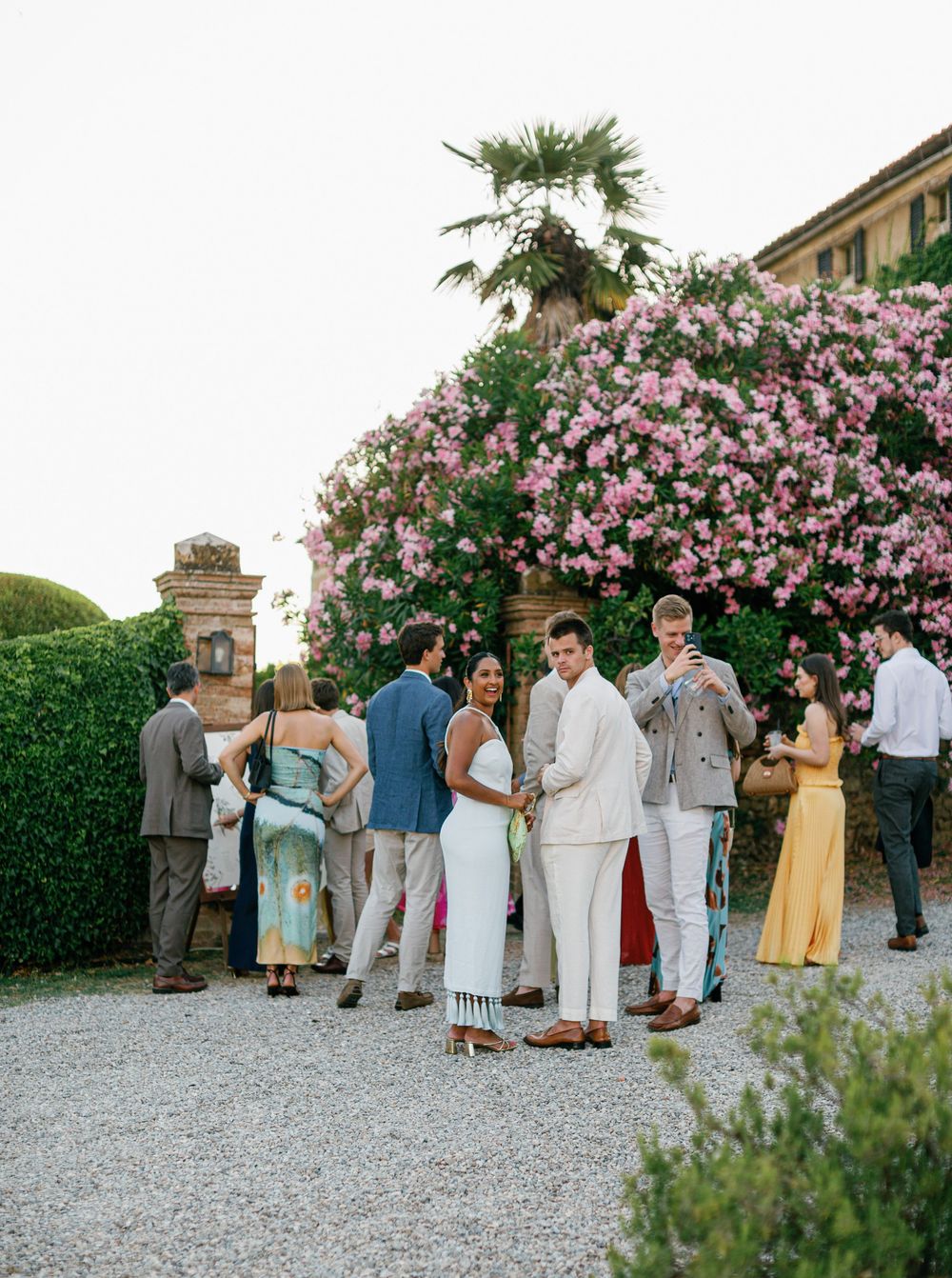 Wedding guests gather in small groups under blooming pink flowering trees during an outdoor celebration.