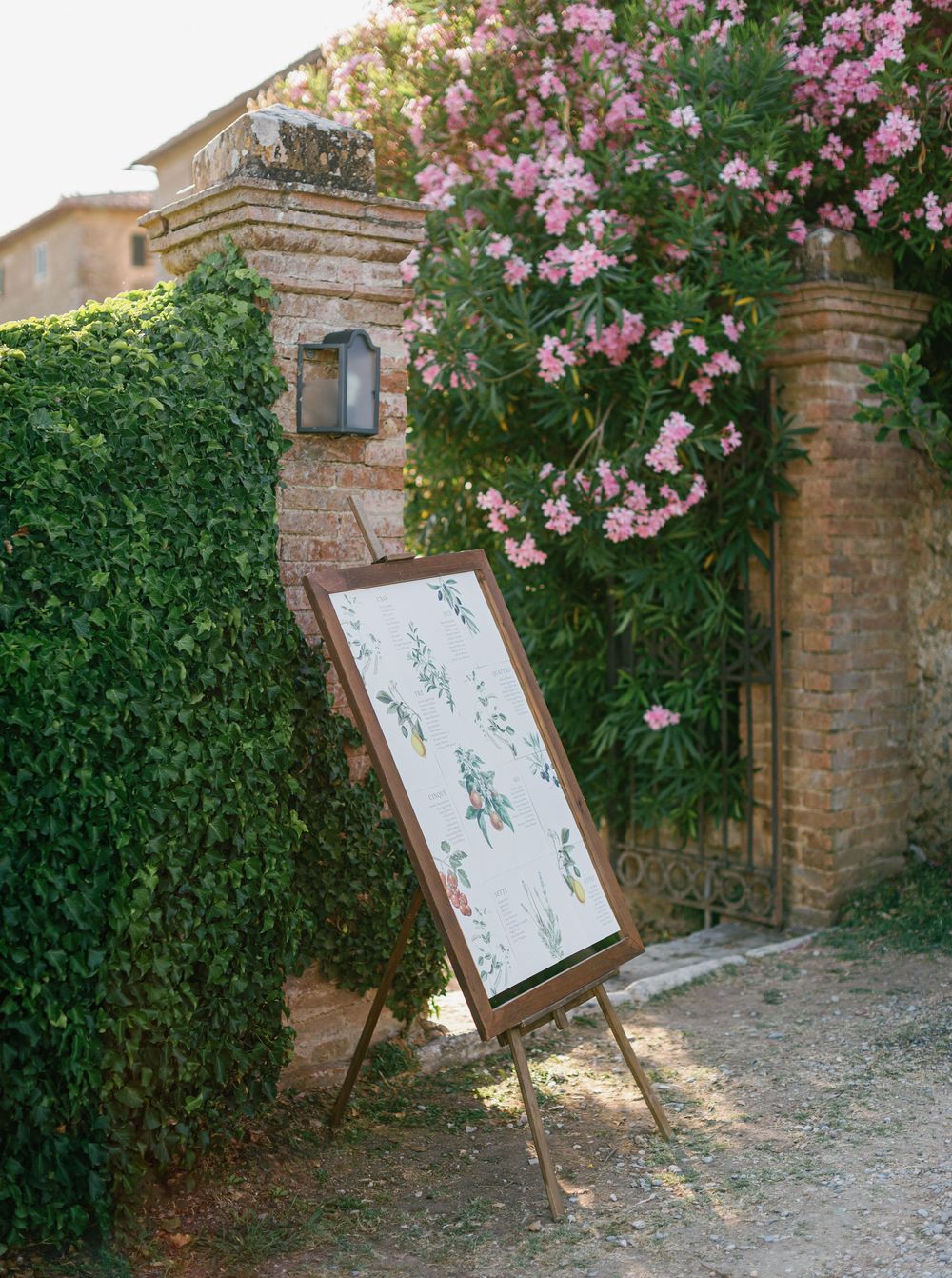 Rustic brick wall with climbing pink roses and an ornate framed display sign amid lush green foliage.