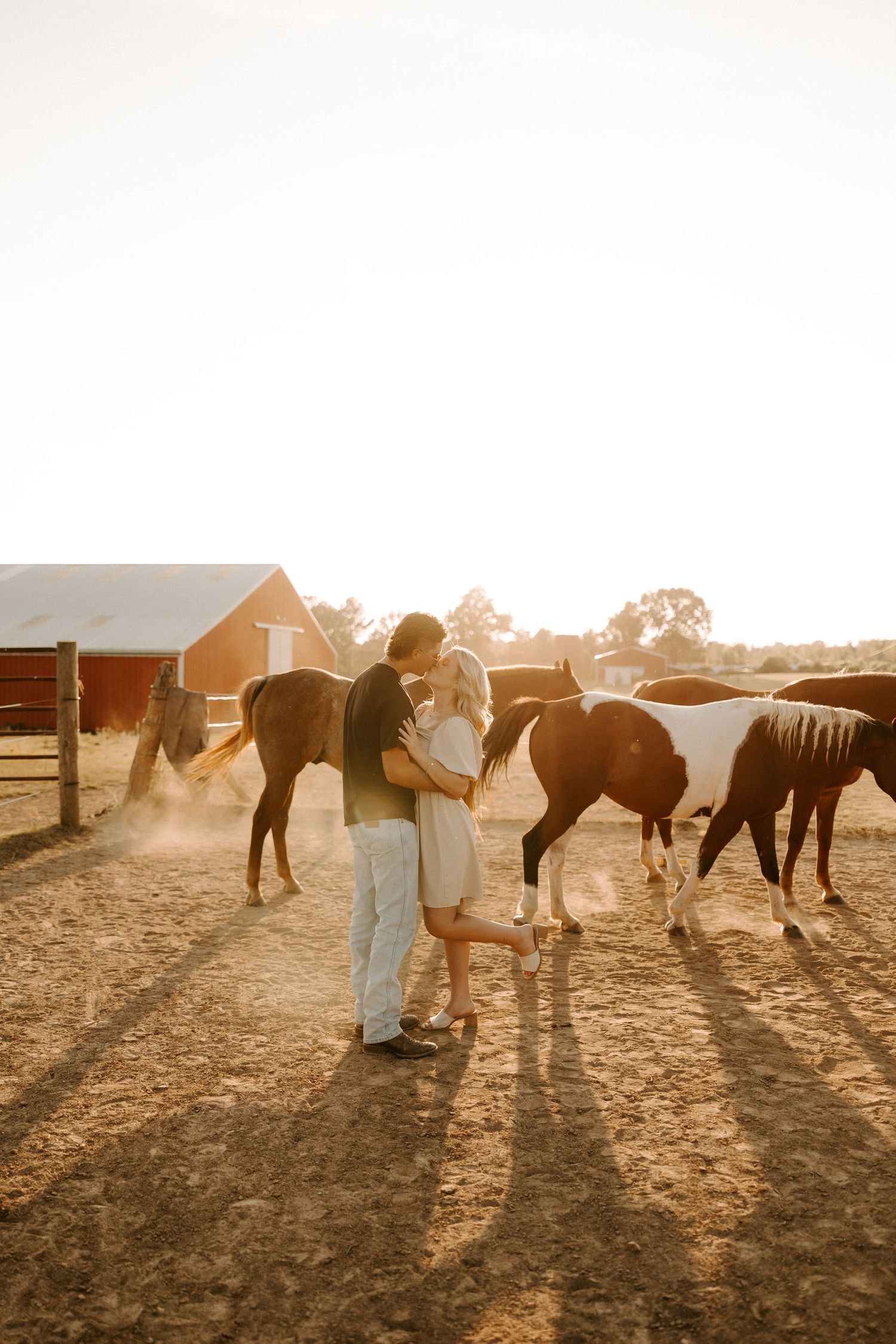 Photoshoot of horses and couple against a warm sunset backdrop in a rustic setting in Gallatin, TN.