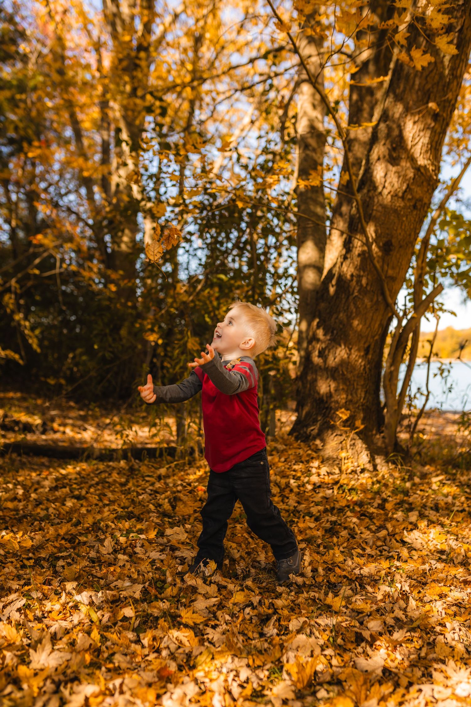 Toddler playing in leaves during fall mini session in Woodstock Ontario